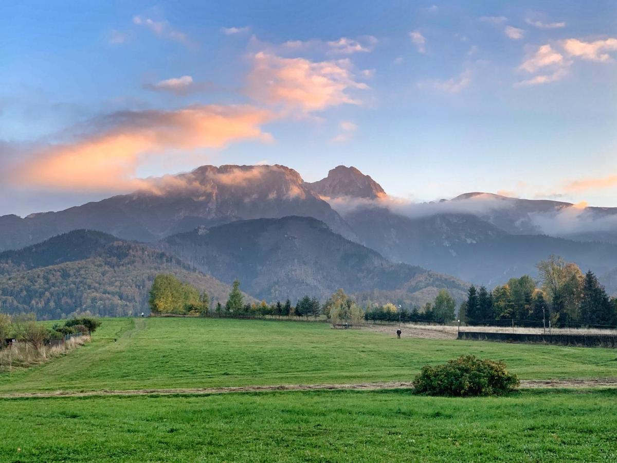 Apartament Lesny Z Kominkiem - Viva Pod Giewontem Apartamenty Zakopane Eksteriør billede