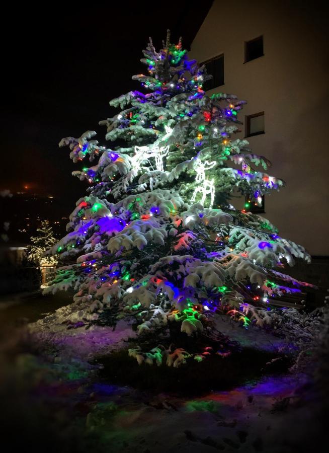 Apartament Lesny Z Kominkiem - Viva Pod Giewontem Apartamenty Zakopane Eksteriør billede